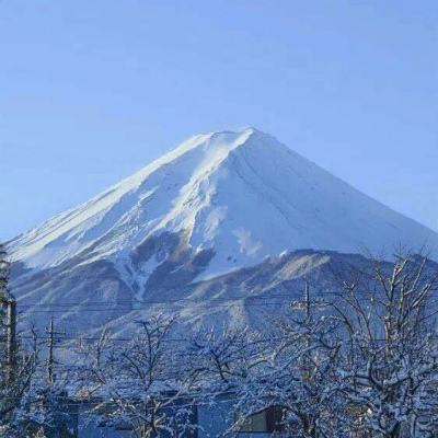 开心鱼塘领手游下载